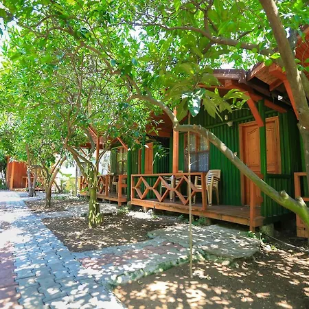 בית אירוח Rose Bungalow